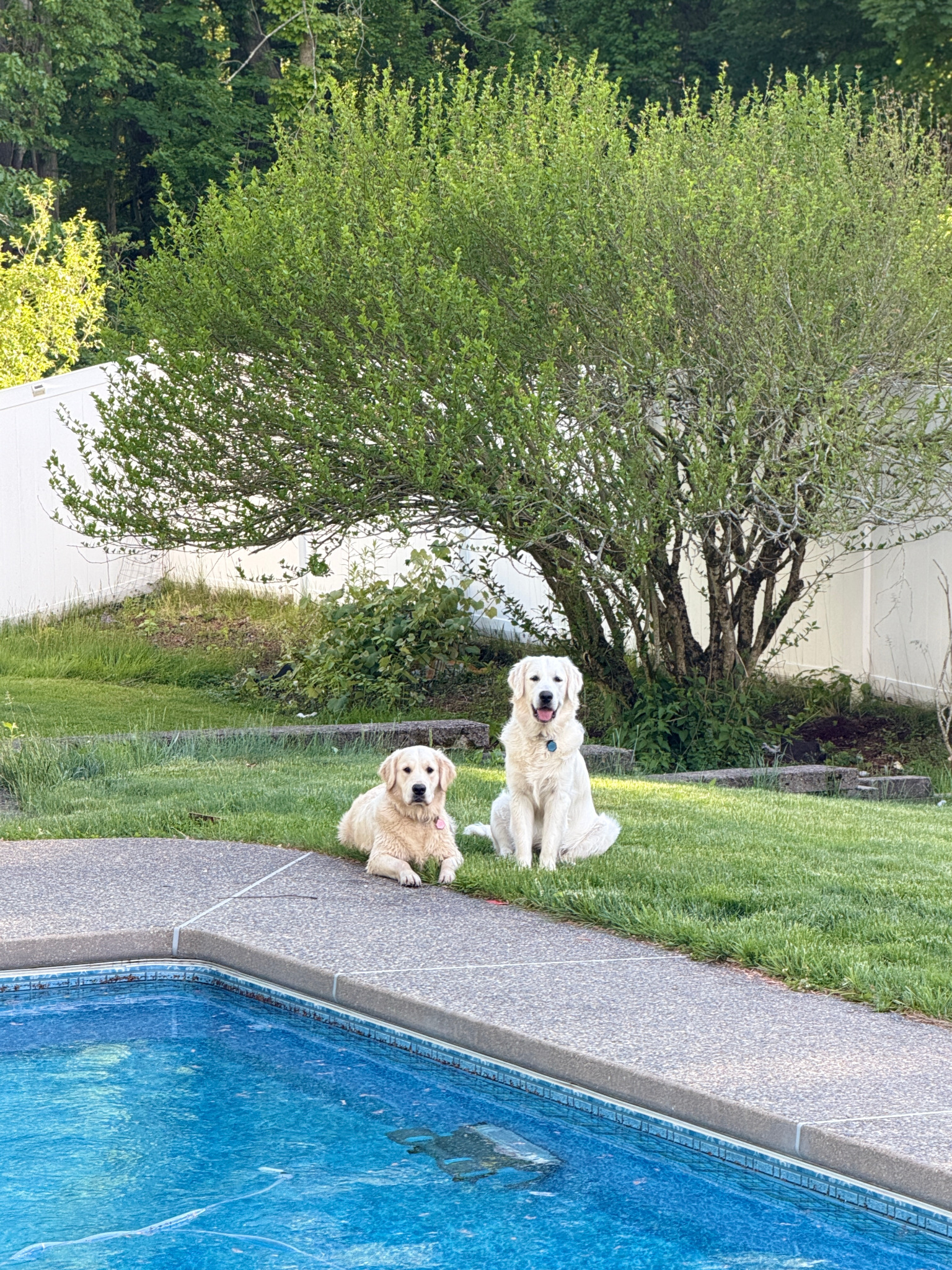 Mars and Mollie enjoying family life