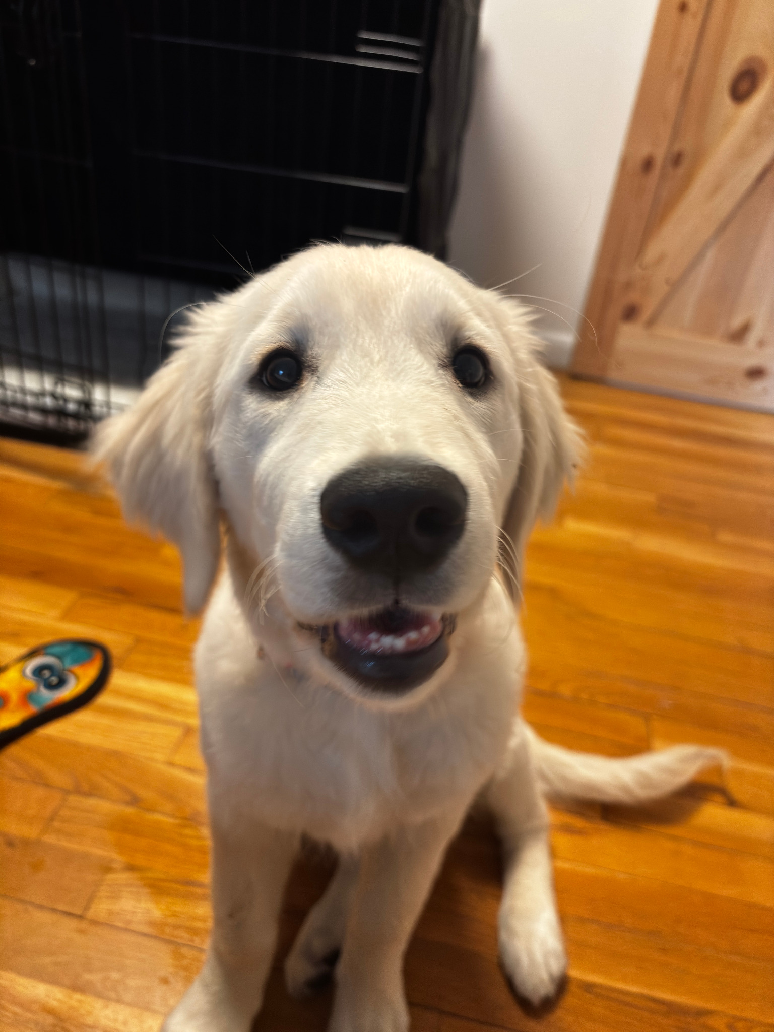 Mollie smiling